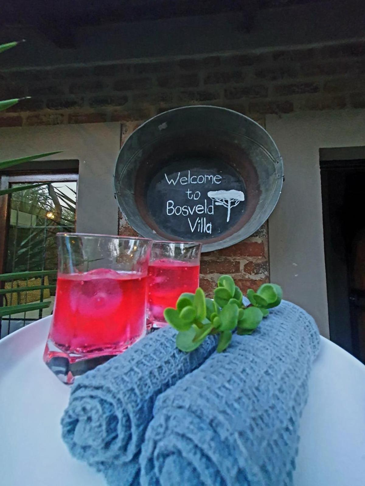 Bosveld Villa Marloth Park Εξωτερικό φωτογραφία