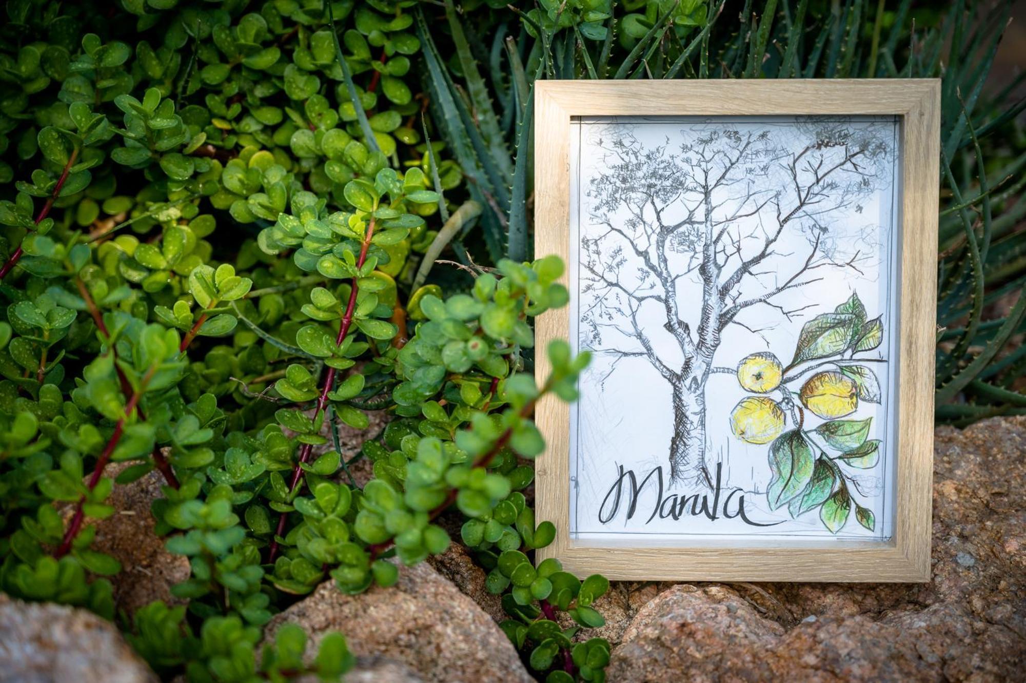 Bosveld Villa Marloth Park Εξωτερικό φωτογραφία