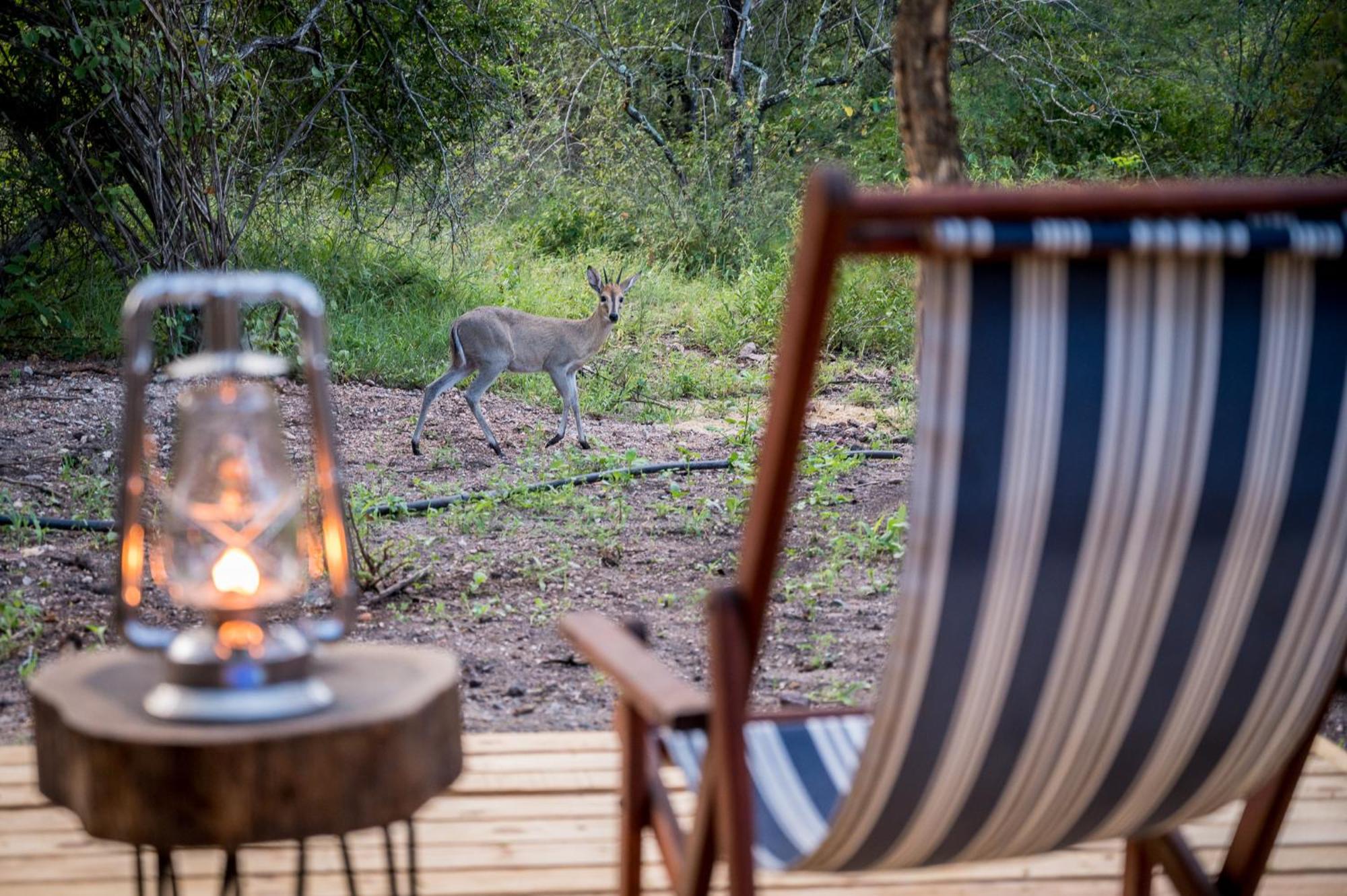 Bosveld Villa Marloth Park Εξωτερικό φωτογραφία
